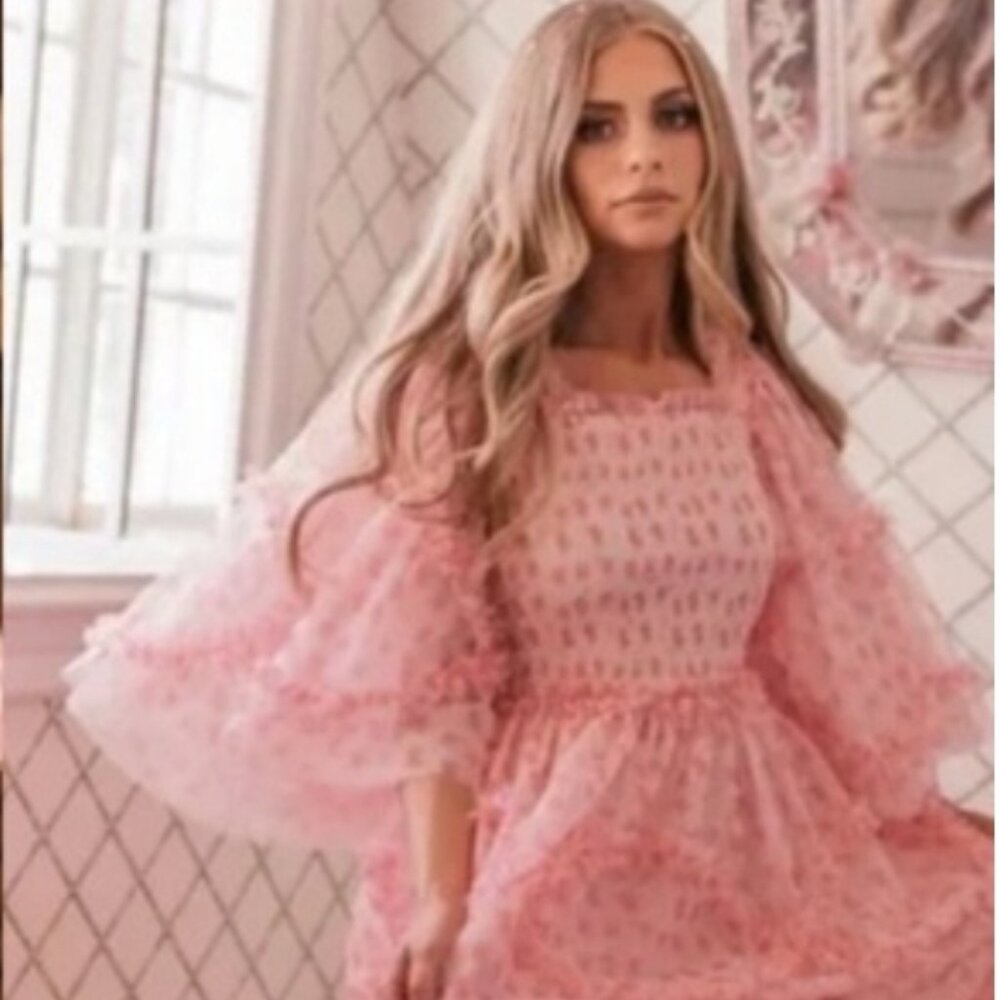 NWT Jessakae Ever After pink floral dress SMALL